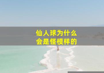 仙人球为什么会是怪模样的