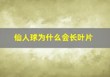 仙人球为什么会长叶片