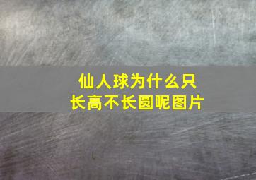 仙人球为什么只长高不长圆呢图片