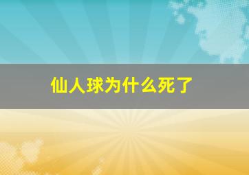 仙人球为什么死了