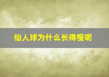 仙人球为什么长得慢呢