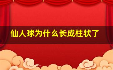 仙人球为什么长成柱状了