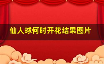 仙人球何时开花结果图片