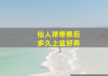 仙人球修根后多久上盆好养