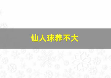 仙人球养不大