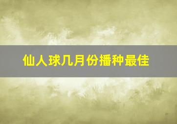 仙人球几月份播种最佳