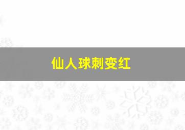 仙人球刺变红