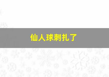 仙人球刺扎了