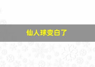 仙人球变白了