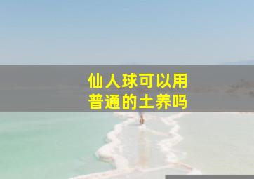 仙人球可以用普通的土养吗