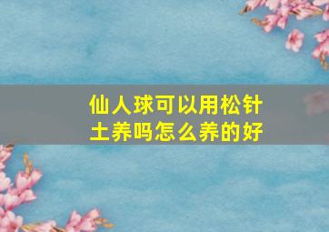 仙人球可以用松针土养吗怎么养的好