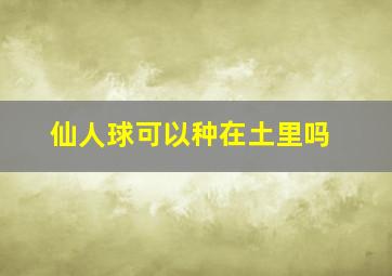 仙人球可以种在土里吗