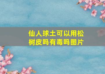 仙人球土可以用松树皮吗有毒吗图片