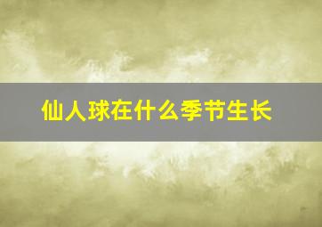 仙人球在什么季节生长