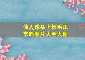 仙人球头上长毛正常吗图片大全大图