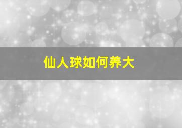 仙人球如何养大