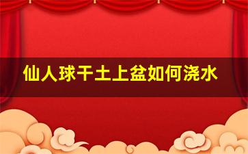 仙人球干土上盆如何浇水