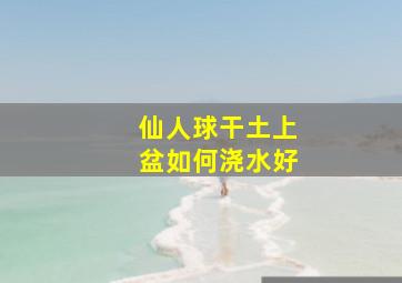 仙人球干土上盆如何浇水好