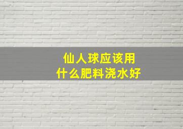 仙人球应该用什么肥料浇水好