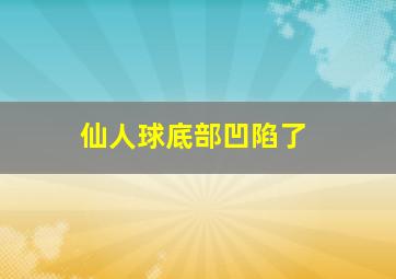 仙人球底部凹陷了