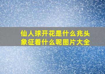 仙人球开花是什么兆头象征着什么呢图片大全