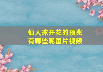 仙人球开花的预兆有哪些呢图片视频