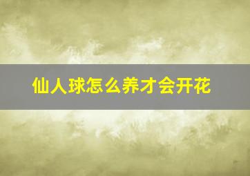 仙人球怎么养才会开花