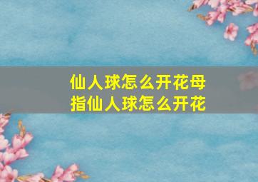 仙人球怎么开花母指仙人球怎么开花