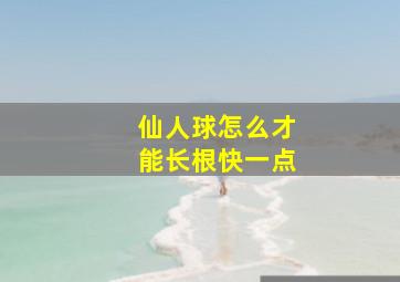 仙人球怎么才能长根快一点