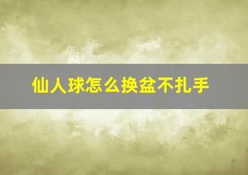 仙人球怎么换盆不扎手