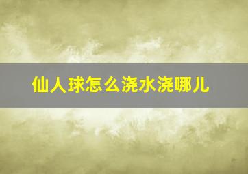 仙人球怎么浇水浇哪儿