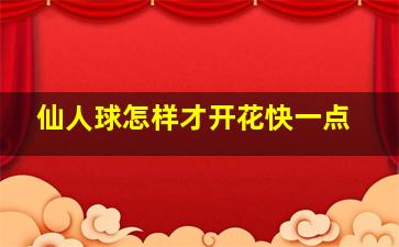 仙人球怎样才开花快一点