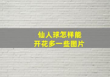 仙人球怎样能开花多一些图片