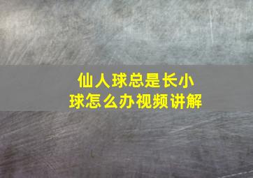 仙人球总是长小球怎么办视频讲解