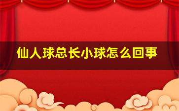 仙人球总长小球怎么回事