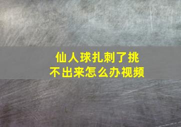 仙人球扎刺了挑不出来怎么办视频