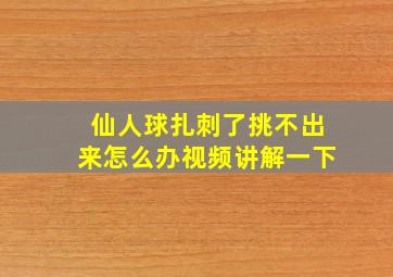 仙人球扎刺了挑不出来怎么办视频讲解一下