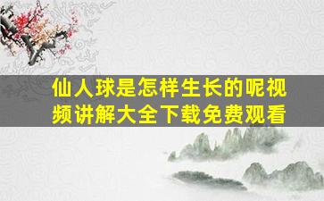 仙人球是怎样生长的呢视频讲解大全下载免费观看