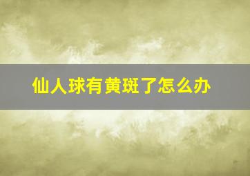 仙人球有黄斑了怎么办