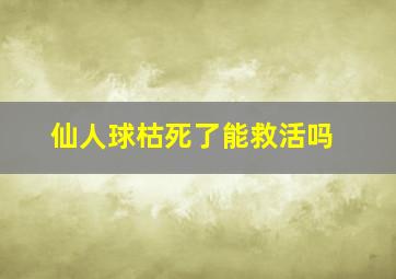 仙人球枯死了能救活吗