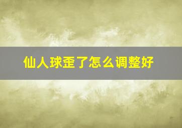 仙人球歪了怎么调整好