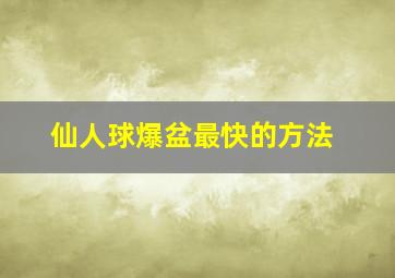 仙人球爆盆最快的方法