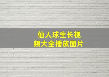 仙人球生长视频大全播放图片