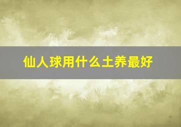 仙人球用什么土养最好