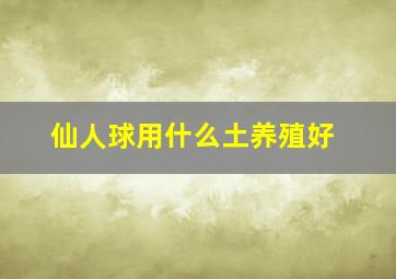 仙人球用什么土养殖好