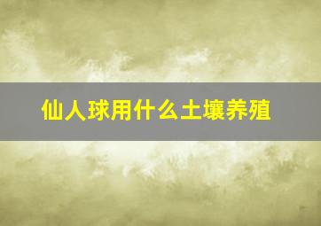 仙人球用什么土壤养殖