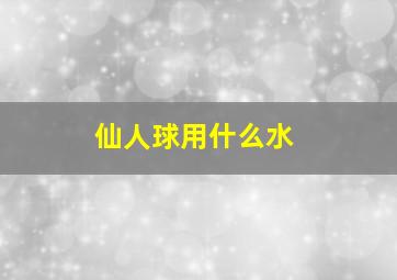 仙人球用什么水