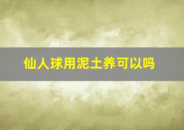 仙人球用泥土养可以吗