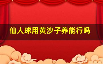 仙人球用黄沙子养能行吗