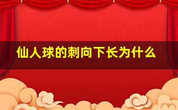 仙人球的刺向下长为什么